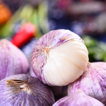 云南特产 紫皮大蒜独头蒜 大蒜头500克厨房调