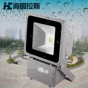 海阁拉斯投光灯景观灯具庭院户外LED投射泛光灯具 30wRGB 220v