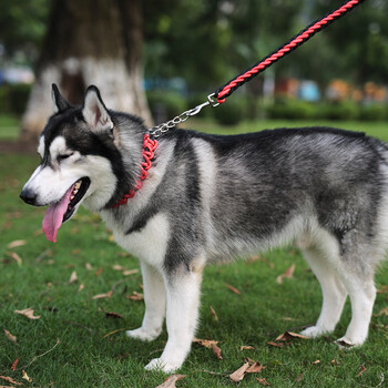 狗狗牵引绳 哈士奇萨摩耶金毛狗链 中型犬大型犬牵狗绳子遛狗绳 红
