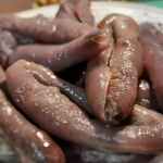广纳力驰新鲜海参即食大乌参海茄子海茄参批发黑乌参