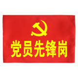 袖标定制志愿者执勤值勤疫情防控护林员定做 舒适透气别针 logo 党员