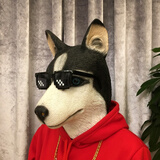 哈士奇【送墨镜 大金链子 雪茄】