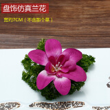 酒店餐厅点缀兰花仿真花冷菜刺身菜品盘饰意境小摆件摆盘装饰花草