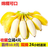 香蕉 广西 小米蕉 新鲜水果 小米蕉 3斤精品装