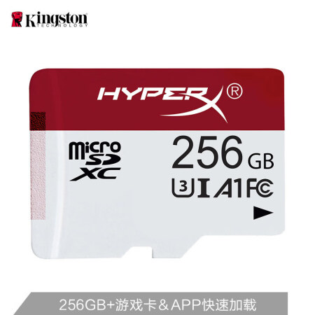 金士顿（Kingston）A1 256GB 100MB/s 内存卡 TFClass10 UHS-I U3 专业版高速下载游戏存储卡