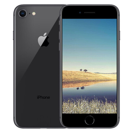 apple iphone 8 (a1863) 苹果8 深空灰 全 256g