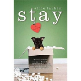 《stay》(allie+larkin)【摘要