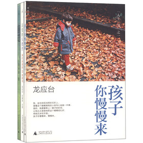 华安龙应台-24华安龙应台 华安龙应台-3图片