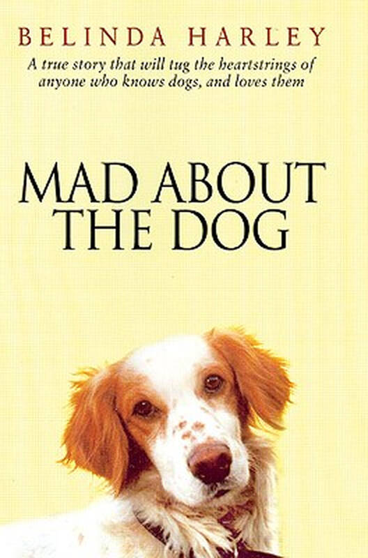 【预订】mad about the dog