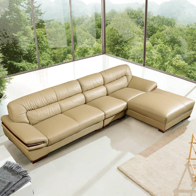 南方家私进口真皮沙发 实木镶边简约现代皮沙发客厅组合家具沙发 1 3