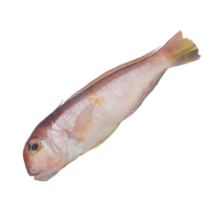 大洋世家 舟山野生马头鱼(方头鱼) 1kg/袋 4条 火锅食材 海鲜水产 鱼