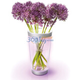 Philips������69153�ò�LED��ƿ��