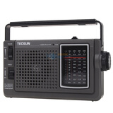 ����R-304 ��TECSUN����Яʽ�������ȵ�Ƶ/�в�/�̲�������(��ɫ)