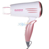 �ɿƣ�FLYCO���紵��ϵ�� FH6210