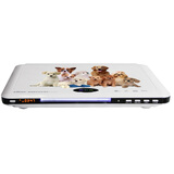 �����ˣ�Alllike�� DVD-3042 ��Ӱ�� RMVBӰ���� ������ ��ɫ