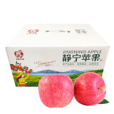 柏果瑞【顺丰快递】甘肃静宁苹果 苹果水果  时令苹果新鲜水果礼盒 精品24枚75-80mm大果手提礼盒