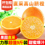 集年鲜夏橙脐橙手剥薄皮高山冰糖甜橙子礼品新鲜生鲜水果 5斤含箱中果（单果65-70mm）