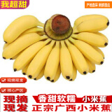 集年鲜广西小米蕉软糯香蕉当季现摘现发热带生鲜水果整箱拇指萌香蕉 9斤 含箱