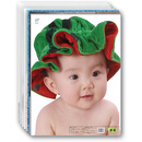 准妈妈必备快乐天使宝宝挂图（全套16张）