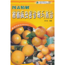 图表精解柑橘病虫害诊断与防治