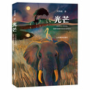 光芒 老师推荐 暖心童话 立足正义 有趣 生命教育 高品质音频 中华优秀出版物作者原创 6-12岁