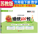 王朝霞 2023春培优100分苏教版数学6年级下册