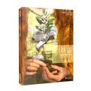 花语：前拉斐尔派的花卉象征