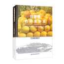 吐鲁番杏标准体系
