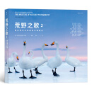 荒野之歌2：国际野生生物摄影年赛精选