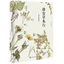 雄安草木行：雄安的植物故事