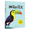 神奇的鸟类：发现令人震撼的鸟类智慧 展现丰富多彩的鸟类生活 英国皇家御用插画师马特。休厄尔作品