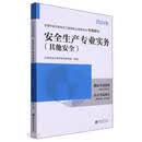 安全生产专业实务（其他安全）：全国中级注册安全工程师职业资格考试专用教材