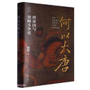 何以大唐 （精）