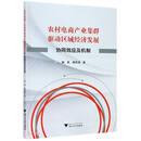 农村电商产业集群驱动区域经济发展（协同效应及机制）