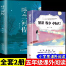 全2册呼兰河传+繁星春水小桔灯 四五六年级下册课外书 经典丛书中小学语文阅读书籍