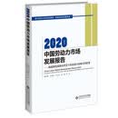 2020中国劳动力市场发展报告:构建新发展格局背景下的劳动力市场空间演变