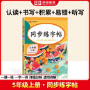 五年级上册字帖 语文同步练字帖课本配套生字描红本