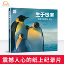 生于极寒:南极洲的野生生物