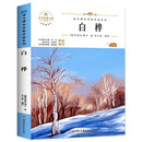 白桦 中小学生读语文课本作家作品课外阅书文学经典