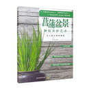 菖蒲盆景种植养护艺术:文人案头清供雅玩