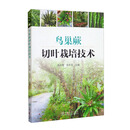 鸟巢蕨切叶栽培技术