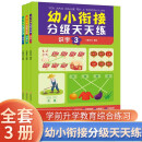 识字篇幼小衔接分级天天练 全套3册学前升学教育综合练习题 提高孩子解题能力