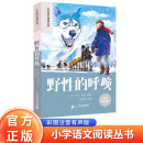 野性的呼唤 彩绘注音官方正版新版新课标小学语文阅读丛书第十二辑 儿童文学经典读物小学生课外书