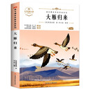 大雁归来 中小学生读语文课本作家作品课外阅书文学经典