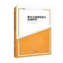 重大工程复杂性与治理研究