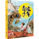 风原上的守护神/奇迹少年（共4册）