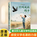 中阅 曹文轩儿童文学作品精选.一只叫凤的鸽子