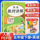 [课文批注讲解]2024春教材讲解五年级英语下册人教版 五年级课本下册 知识归纳 课后题答案 课堂笔记 教材全解 解读 黄冈随堂笔记 乐学熊