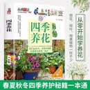 四季养花 园艺书养花书籍花卉养殖的书鲜花养护种花种花大全完整手册花卉种植栽培技术书
