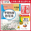 YS-字词句段抄写本·七年级（上册）